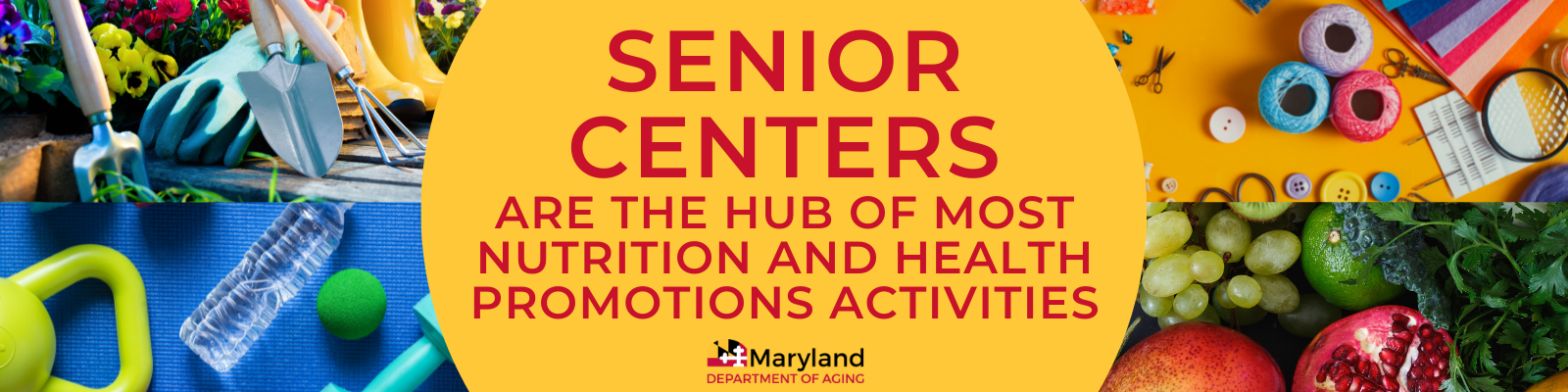 senior center banner. Image says: Senior Centers are the hub of most nutrition and health promotions activities.